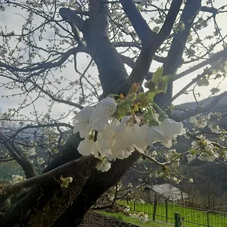 Appartement Mountainaosta - Cir 0062